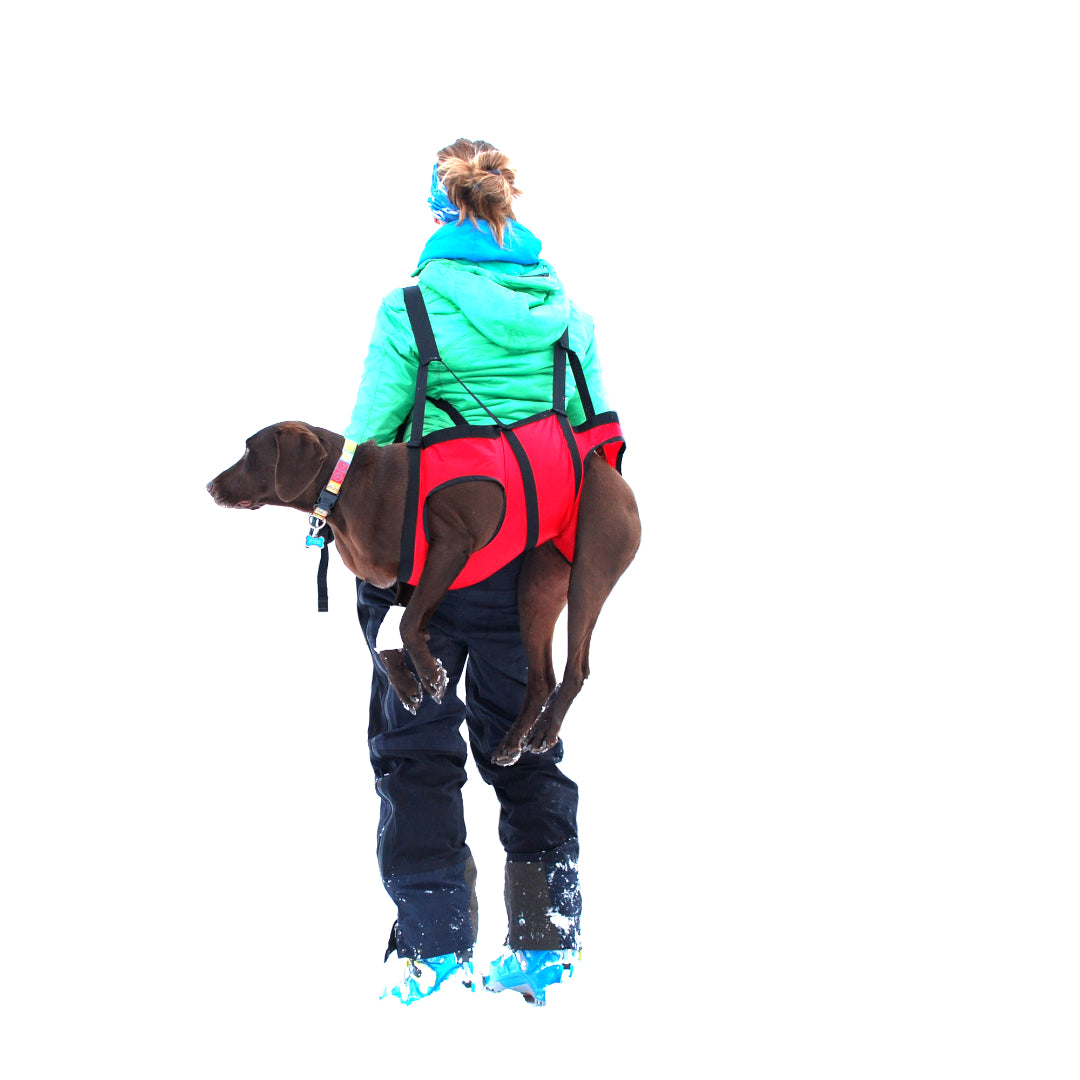 The Airlift - K9 Rescue Sling - Europe